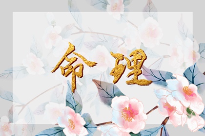 农历查询对照表,2026年日历带农历,农历查询网